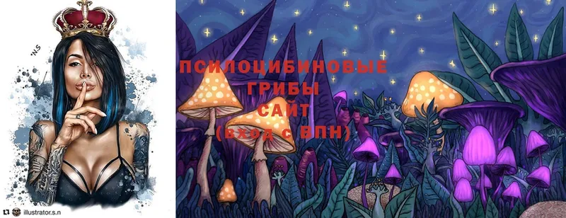 Галлюциногенные грибы MAGIC MUSHROOMS  дарк нет как зайти  Малаховка  как найти закладки 